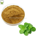 Hight Quality Bulk Peppermint Extract Powder